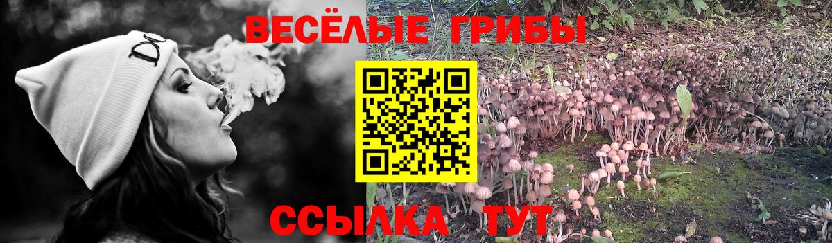 Псилоцибиновые грибы MAGIC MUSHROOMS Вязьма