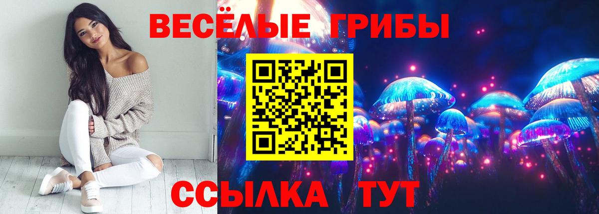 Вязьма  Галлюциногенные грибы Psilocybine cubensis  Галлюциногенные грибы мицелий  Вход с VPN 